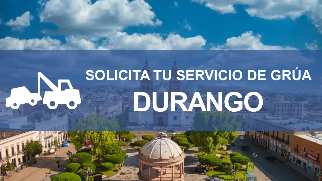 gruas durango