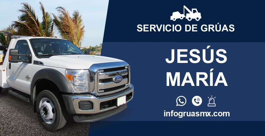 gruas jesus maria