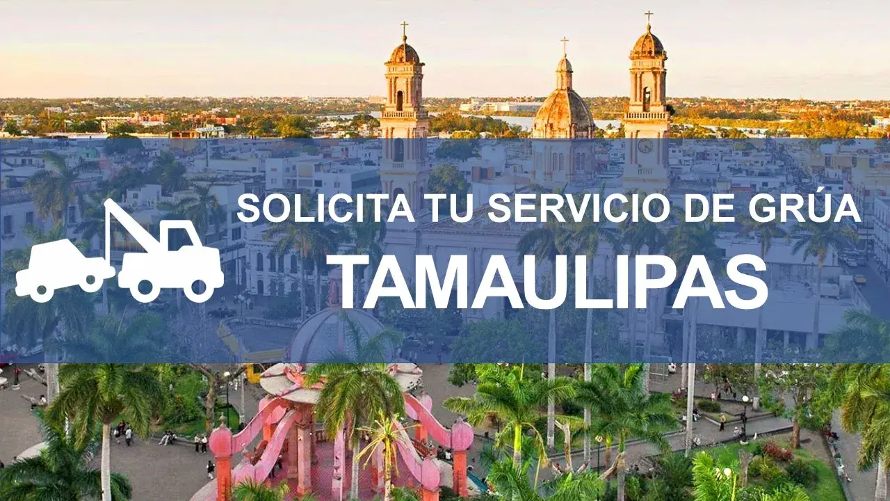 gruas tamaulipas
